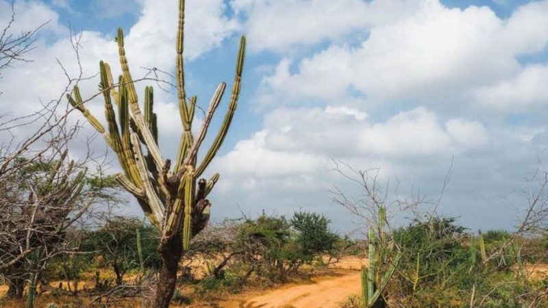 GUAJIRA